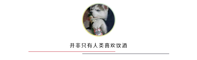 06.png